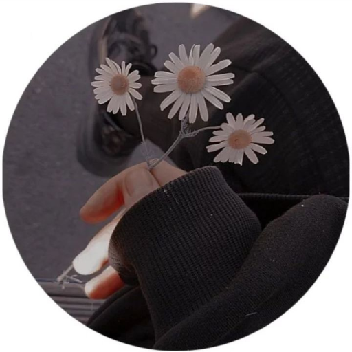 Profile picture of user Shukrona_Rakhmonova