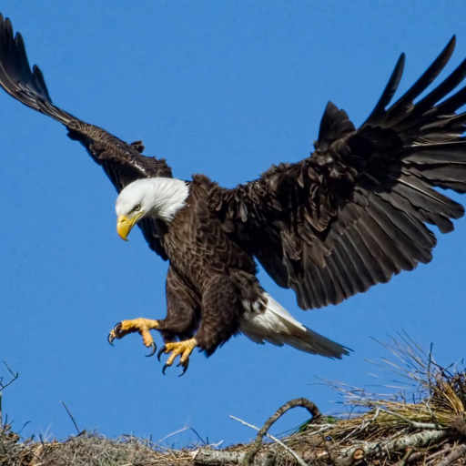 Profile picture of user Sharofiddin Jumanov