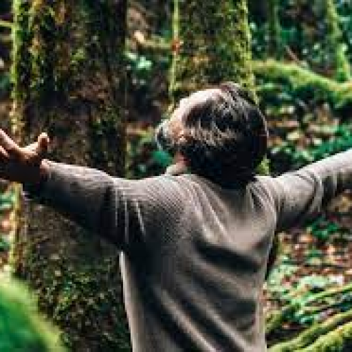 Profile picture of user Rustamov Muxammadjon