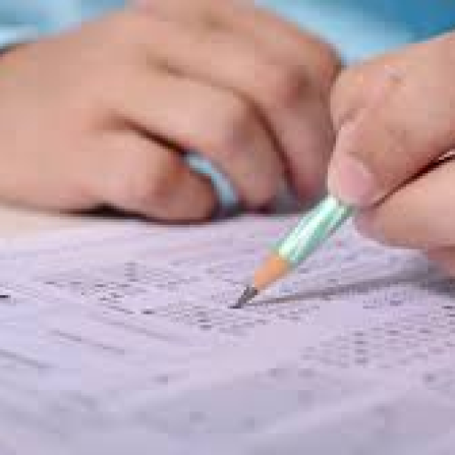 Profile picture of user Zafar Baxriddinov