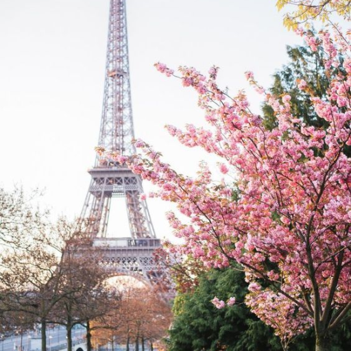 Profile picture of user Spring