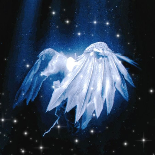 Profile picture of user To'xtamurodova Jasmina