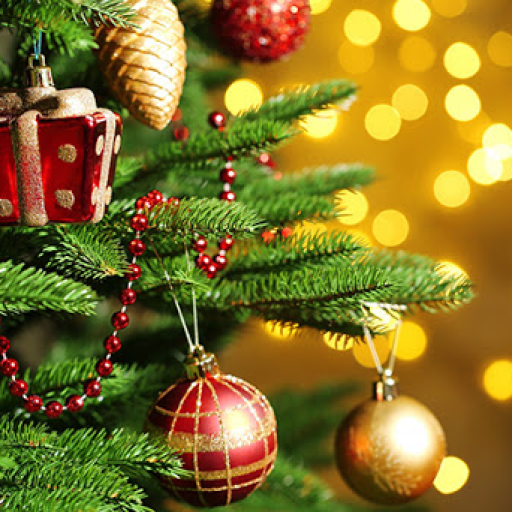 Profile picture of user botiraliyevvvv