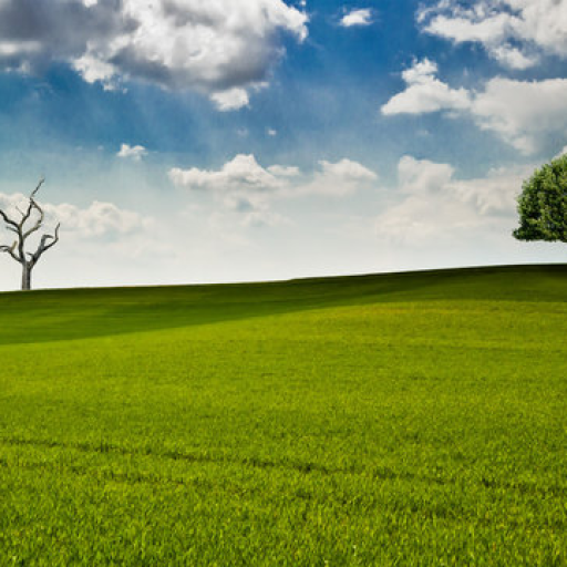 Profile picture of user 67676767