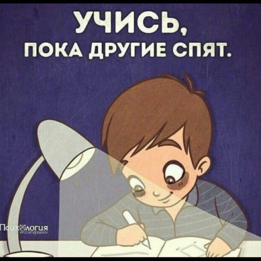 Profile picture of user Ibratbek Muslimbekov