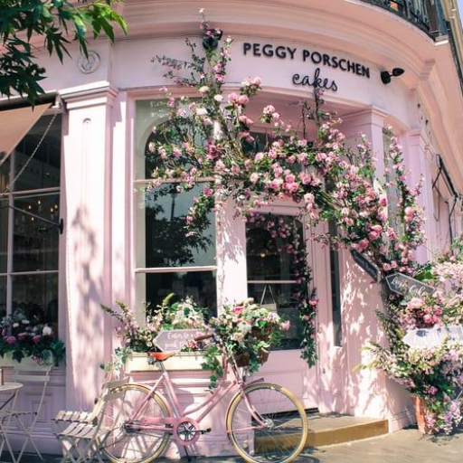 Profile picture of user Normurodova Begoyim