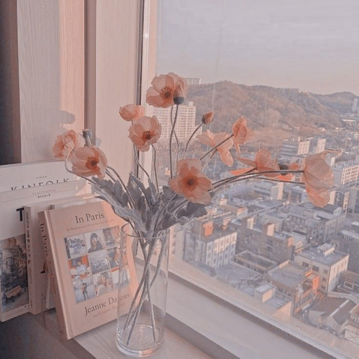 Profile picture of user Normurodova Begoyim