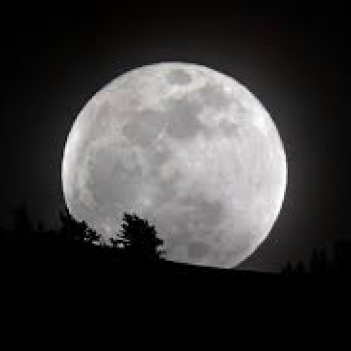 Profile picture of user Fahritdinov Mashhurbek