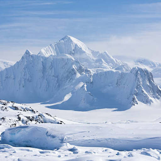 Profile picture of user Baxtiyorov Muhammadrizo