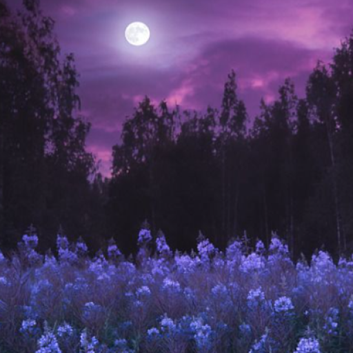 Profile picture of user Narziqulova Farangiz