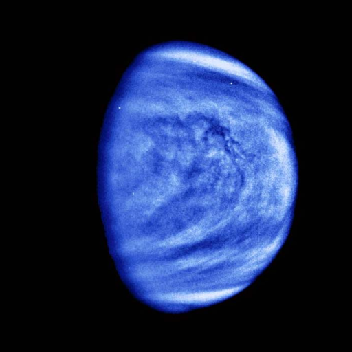 Profile picture of user Islam Tolepov