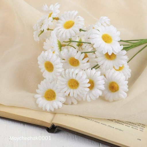 Profile picture of user erkinovaintizor