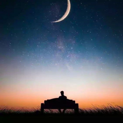 Profile picture of user Anvar Anvarov