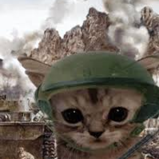 Profile picture of user behruz