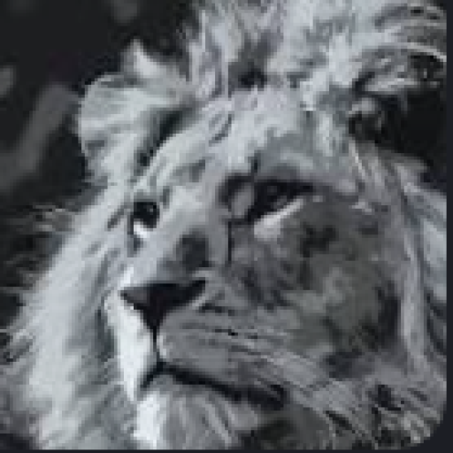 Profile picture of user JAHONGIRLAR