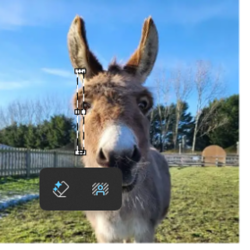 Profile picture of user JAHONGIRLAR