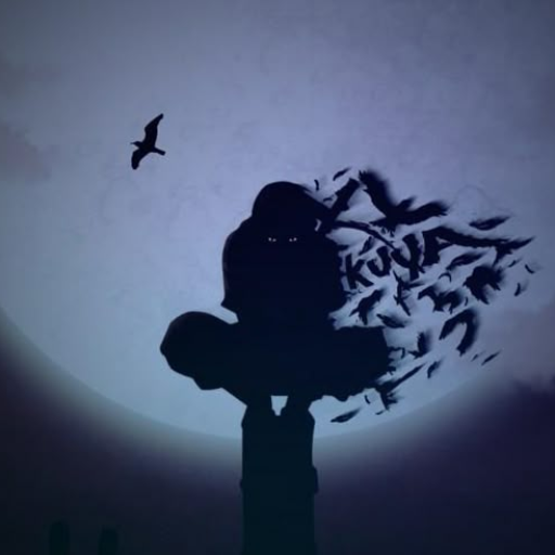 Profile picture of user Qosimov Saidahror