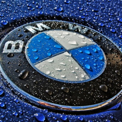 Profile picture of user Nabijonov Islombek