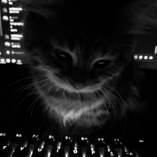 Profile picture of user Beshimova Chinor