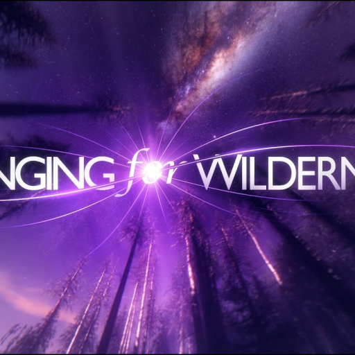 Profile picture of user Ibragimov