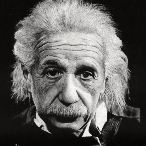 Profile picture of user none