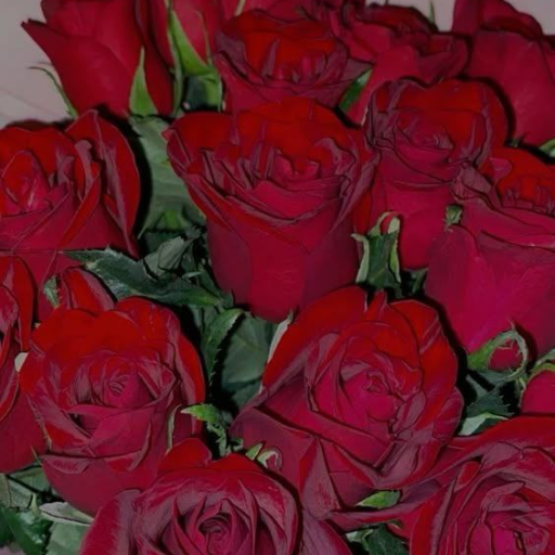 Profile picture of user Yakubova Oltinoy