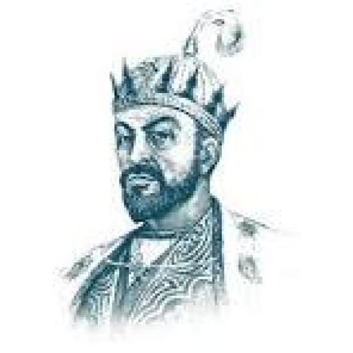 Profile picture of user boyirbek burhonov