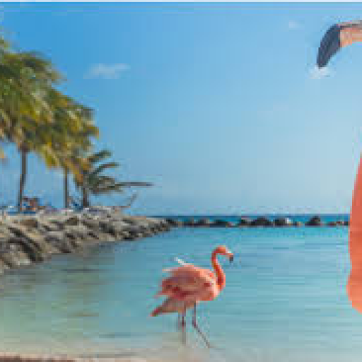 Profile picture of user Asomiddinova muhsina