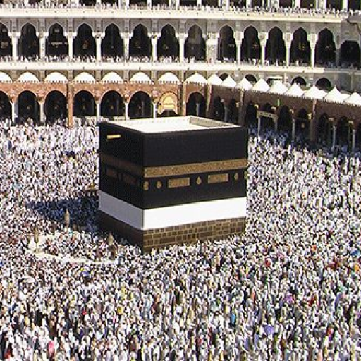 Profile picture of user super betman