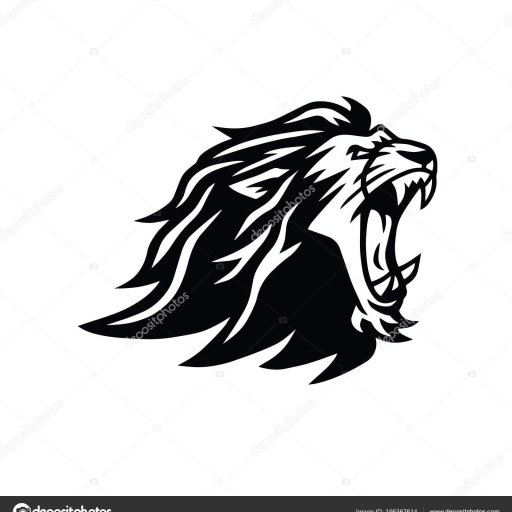 Profile picture of user Numanov Quvonchbek