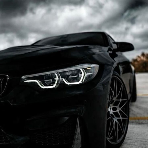 Profile picture of user legenda