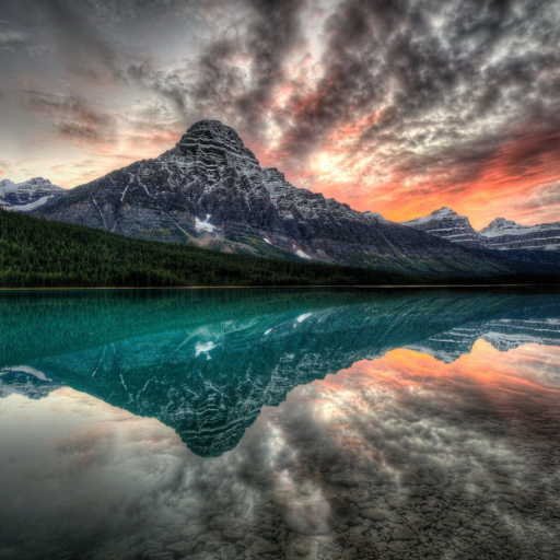 Profile picture of user Maqusdov Sanjar