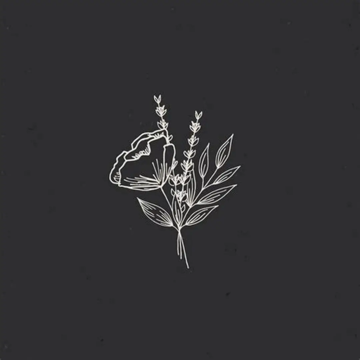 Profile picture of user Najmiddinova Afruzabonu