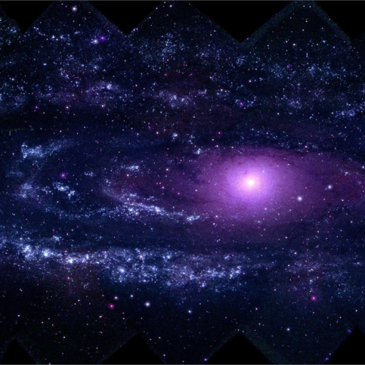 Profile picture of user komiljonov asadbek