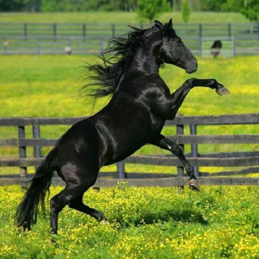 Profile picture of user Mamatisaev Mamatisaev