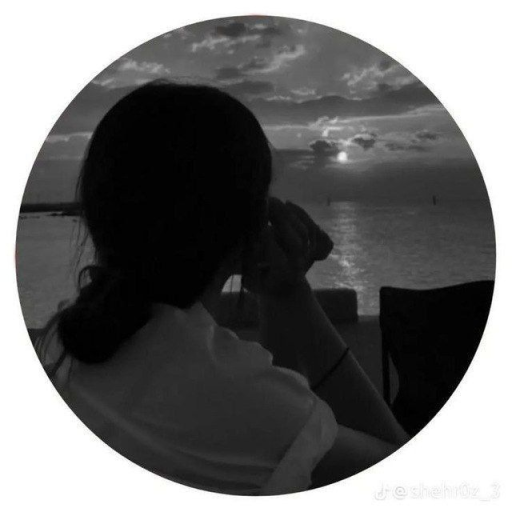 Profile picture of user melikov samandar