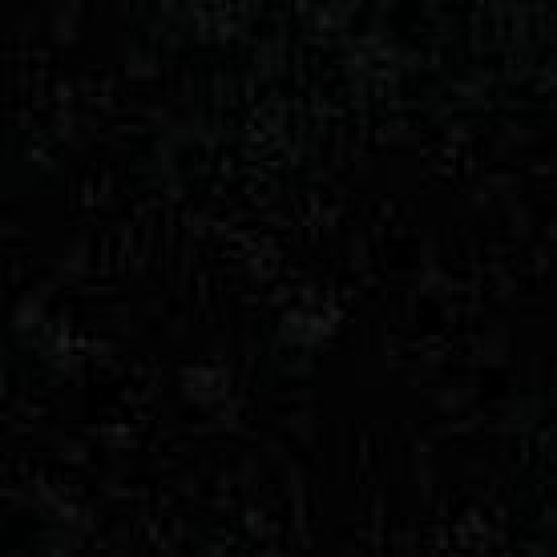 Profile picture of user Ikram