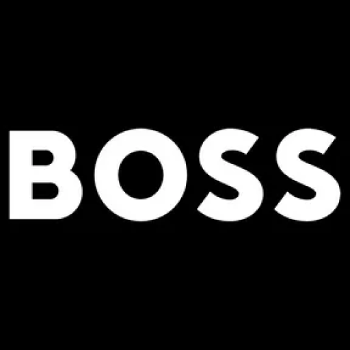 Profile picture of user Mr.Boss