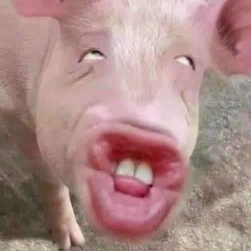 Profile picture of user Kuyumyusha