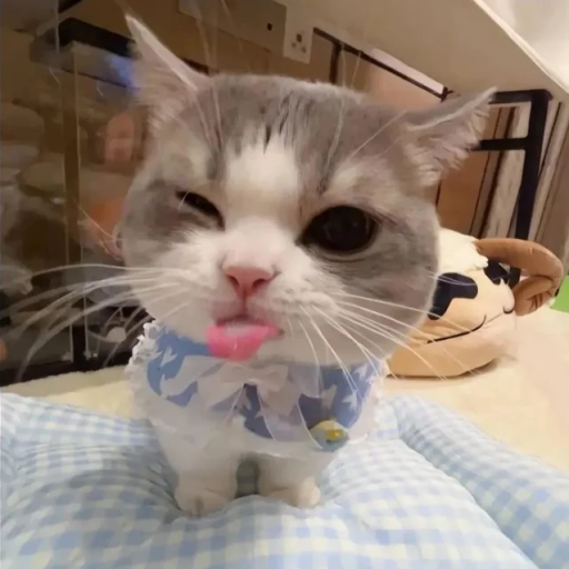 Profile picture of user Abdullayeva Komila