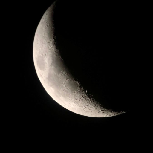 Profile picture of user Hilola Jumaboyeva