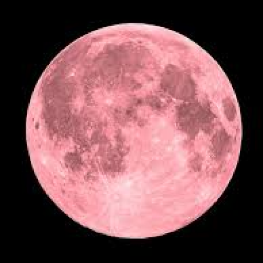 Profile picture of user Hayotbek Ismoilov