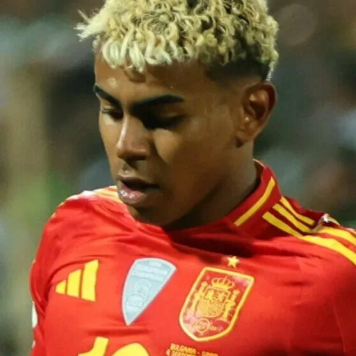 Profile picture of user safdgd