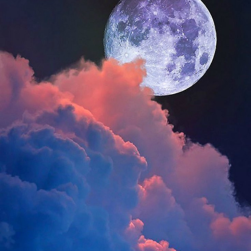 Profile picture of user Mushtariybonu Dilmurodova