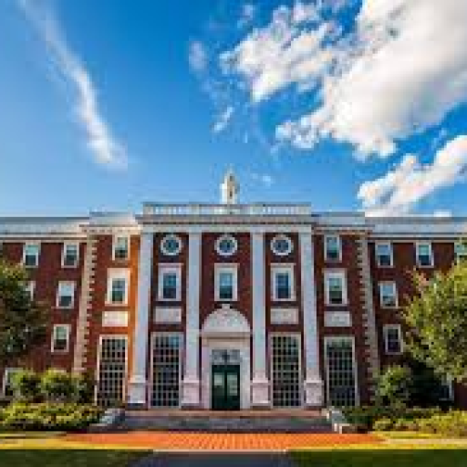 Profile picture of user Shahrizoda