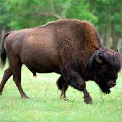 Profile picture of user adasfsffg