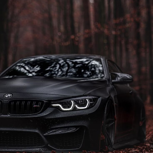 Profile picture of user Shaxruz