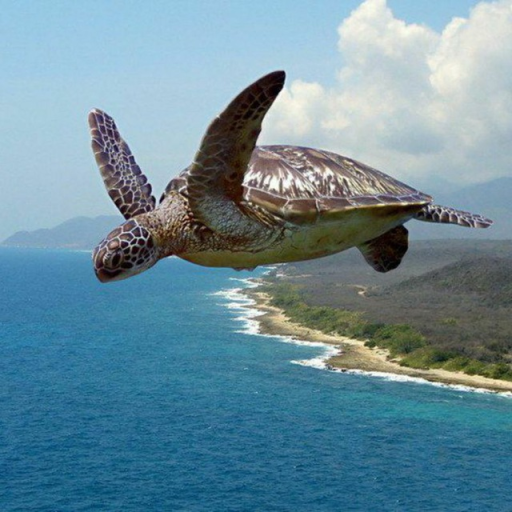 Profile picture of user Orifjon Odiljonov