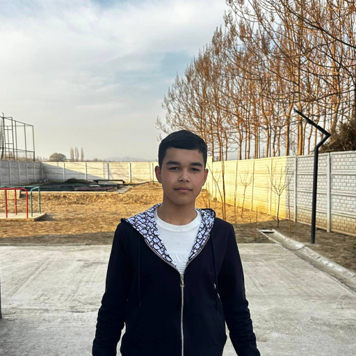 Profile picture of user bekzod