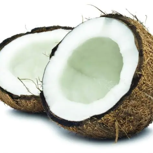 Profile picture of user coconut